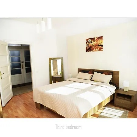 Dinicu, Brasov, Romania 公寓